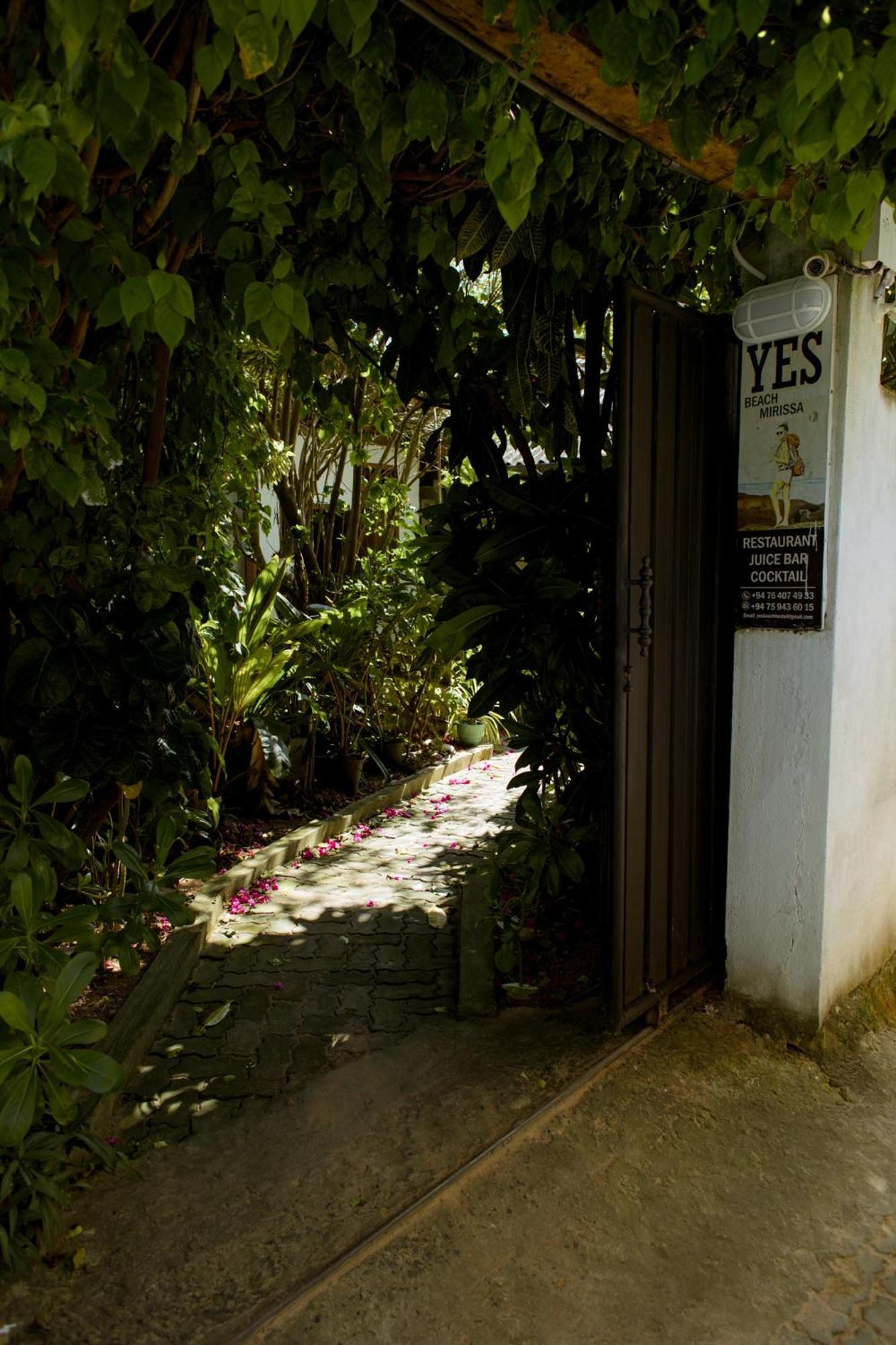 Yes Beach House Mirissa Zewnętrze zdjęcie